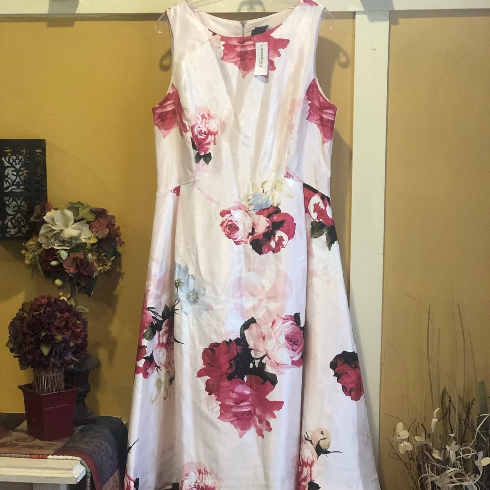 DressBarn Dress
